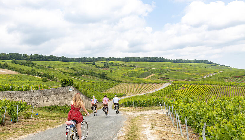 Mit dem Fahrrad ging es durch die Weinberge in der Champagne. Mit dem Fahrrad ging es durch die Weinberge in der Champagne.