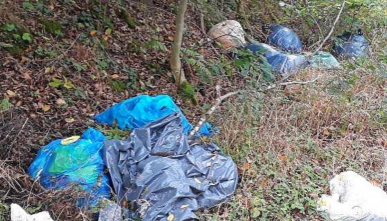 Hausmüll am Waldrand. Oft platzen die Tüten auf, der Unrat verteilt sich.