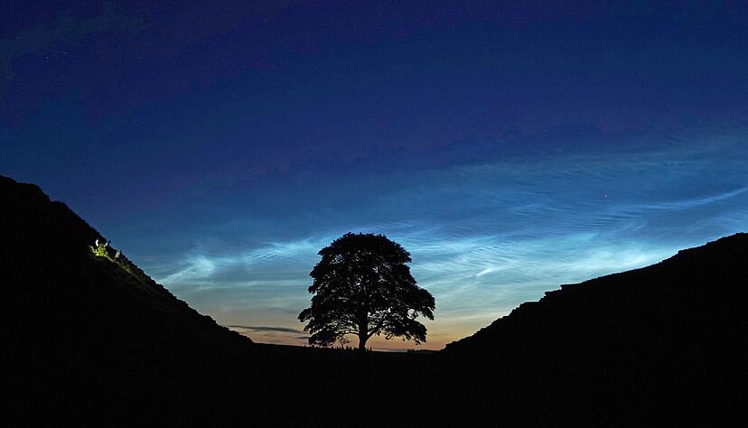 Der Sycamore Gap Tree in England war einst ein beliebtes Fotomotiv. (Archivfoto) Der Sycamore Gap Tree in England war einst ein beliebtes Fotomotiv. (Archivfoto)