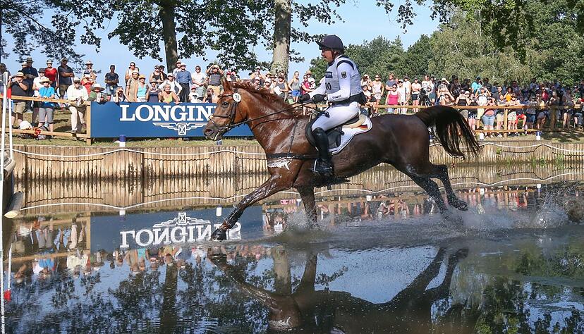 Das Vielseitigkeitspferd Valentine von Reiterin Nadine Marzahl ist beim Turnier im franz&ouml;sischen Jardy eingeschl&auml;fert worden.