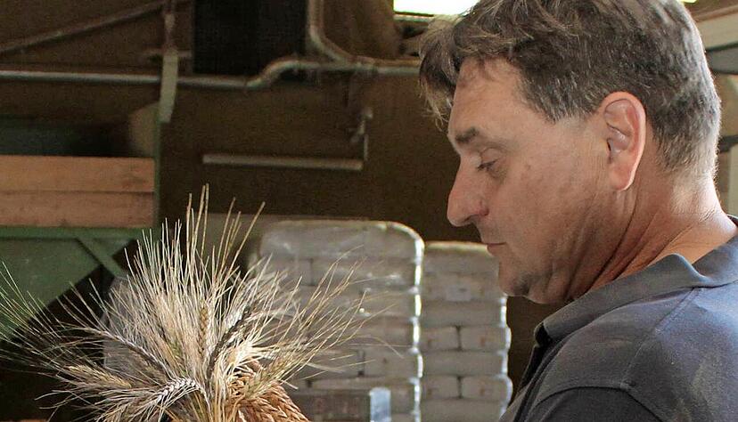 Reinhard Hecker zeigt eine Garbe mit vier Sorten Urkorn-Getreide.
Foto: Jörg Kühl Reinhard Hecker zeigt eine Garbe mit vier Sorten Urkorn-Getreide.
Foto: Jörg Kühl