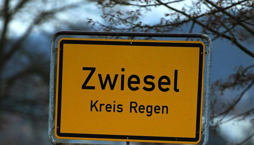 Zwiesel ist eine Kleinstadt mit rund 9.000 Einwohnern unweit der Grenze zu Tschechien. (Archivbild)