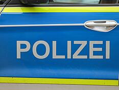 Polizisten haben einen illegalen Welpentransport bei Sinsheim gestoppt. (Symbolbild)