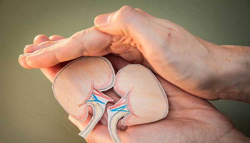 Ich pass' auf euch auf! Mit einem gesunden Lebensstil können wir unsere Nieren schützen. Ich pass' auf euch auf! Mit einem gesunden Lebensstil können wir unsere Nieren schützen.