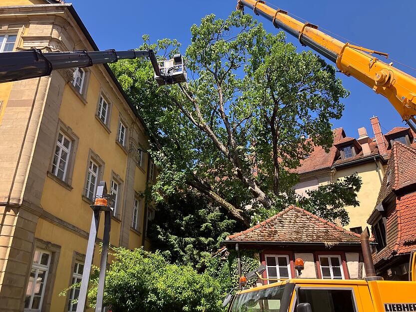 Bei den R&auml;umungsarbeiten kommt auch ein Autokran zum Einsatz, der im Laufes des Freitags versuchen soll, den Stamm auf dem Boden zu ziehen.