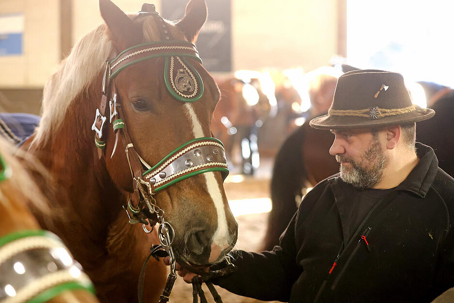 Prämierung beim Heilbronner Pferdemarkt mit 172 Pferden und Ponys