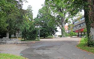 Noch bleiben Öhringens Schulhöfe, wie hier der des Hohenlohe Gymnasiums, leer. Eine Fridays-for-Future-Ortsgruppe hat sich aber bereits gebildet.
Foto: Anna-Lena Sieber Noch bleiben Öhringens Schulhöfe, wie hier der des Hohenlohe Gymnasiums, leer. Eine Fridays-for-Future-Ortsgruppe hat sich aber bereits gebildet.
Foto: Anna-Lena Sieber