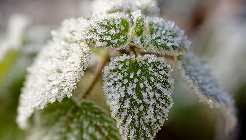 Es bleibt kalt in Baden-W&uuml;rttemberg.