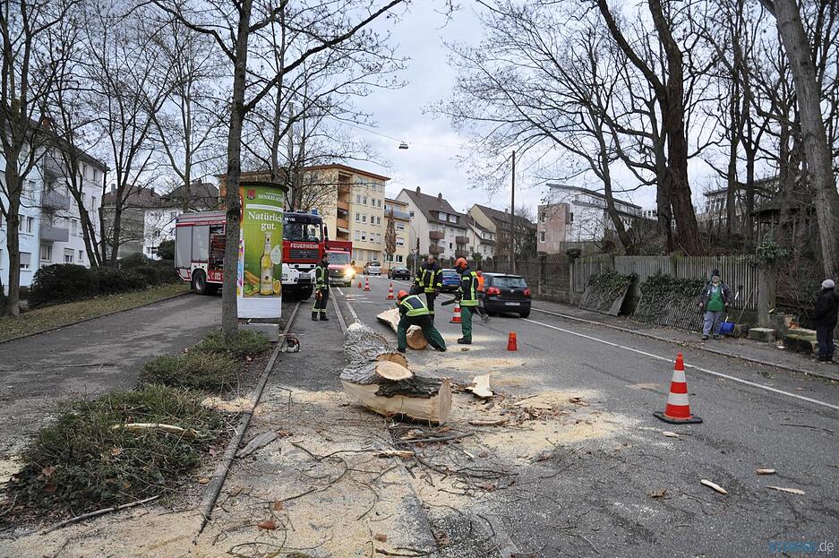 Sturmsch&auml;den in der Region