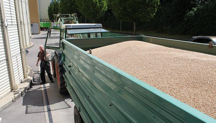 Grundstoff für Mühlen und das hauseigene Mischfutterwerk: Anlieferung von Getreide im Kraichgau-Raiffeisen-Zentrum Eppingen (heute Agroa) im Juli.