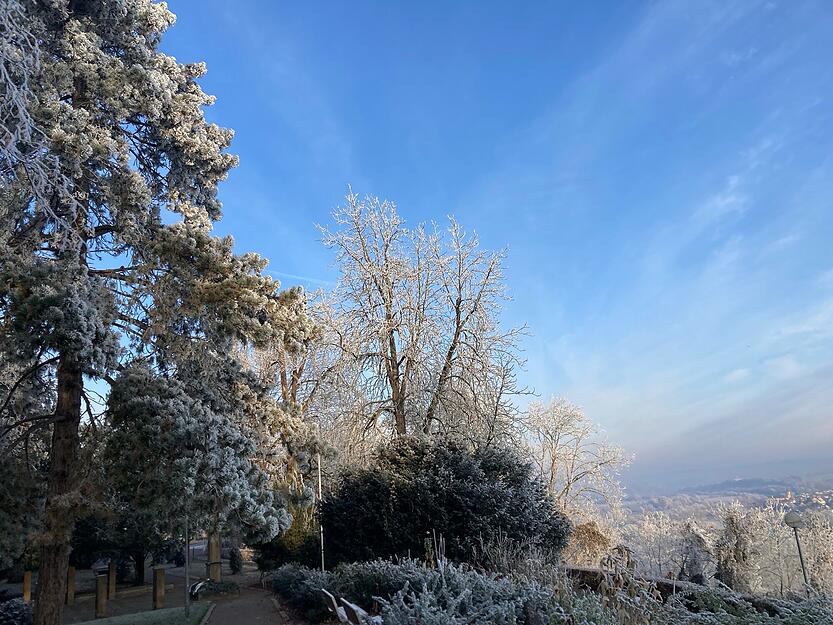 Sonnenschein lässt die mit Raureif überzogenen Äste glitzern. Sonnenschein lässt die mit Raureif überzogenen Äste glitzern.