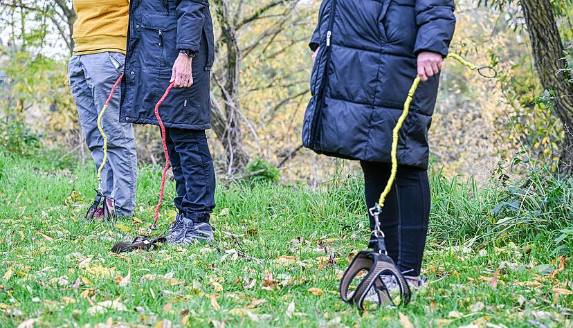 Teilnehmer eines Kurses für Hobby-Dogging, geleitet von Hundetrainerin Gerlinger, stehen mit Hundeleinen ohne Hund auf einer Wiese. Teilnehmer eines Kurses für Hobby-Dogging, geleitet von Hundetrainerin Gerlinger, stehen mit Hundeleinen ohne Hund auf einer Wiese.
