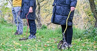 Teilnehmer eines Kurses für Hobby-Dogging, geleitet von Hundetrainerin Gerlinger, stehen mit Hundeleinen ohne Hund auf einer Wiese.