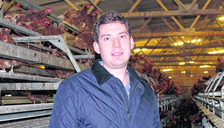 Tobias Riehle, Junior-Chef der H&uuml;hnerfarm, in einem der verbliebenen St&auml;lle. Von dem abgebrannten Geb&auml;ude ist nur die Bodenplatte geblieben.  
Foto: M&uuml;ller