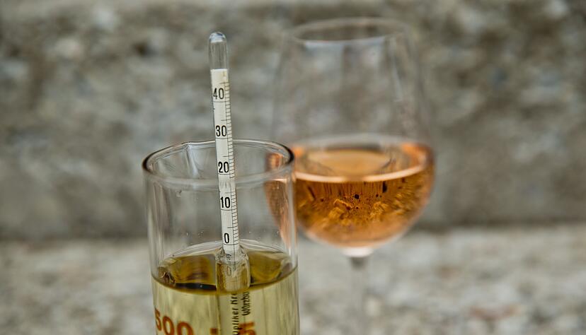 Mittels Alkoholmeter, der in einem Zylinder mit Wein schwimmt, wird der Alkoholwert abgelesen. In diesem Glas zeigt es einen Wert von null Volumenprozent an. Mittels Alkoholmeter, der in einem Zylinder mit Wein schwimmt, wird der Alkoholwert abgelesen. In diesem Glas zeigt es einen Wert von null Volumenprozent an.