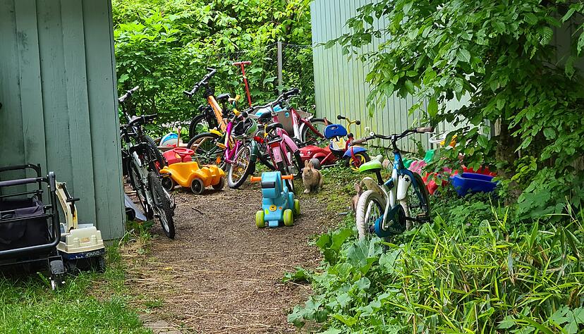 Im Garten von Familie Karle tummelt sich ein Hase zwischen Fahrrädern. Die Lage bietet viele Möglichkeiten für schöne Touren mit dem Bike. Im Garten von Familie Karle tummelt sich ein Hase zwischen Fahrrädern. Die Lage bietet viele Möglichkeiten für schöne Touren mit dem Bike.