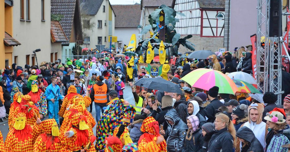 Narren trotzen der Nässe STIMME.de