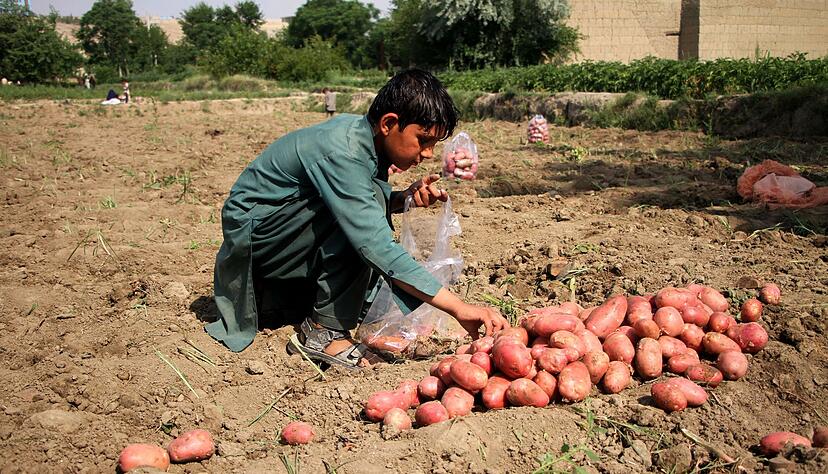 Ziel des EU-Lieferkettengesetzes ist es, Menschenrechte weltweit zu stärken.