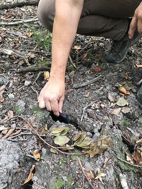 Die Risse im Boden sind so tief, dass Förster Roland Hartz sein Handy problemlos darin verschwinden lassen kann.