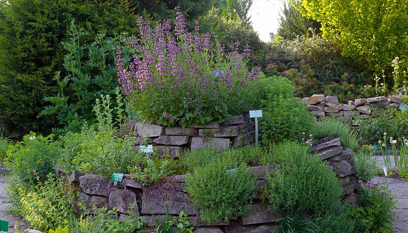 Die Kräuterspirale schafft auf kleinem Raum verschiedene Standorte – ideal für Kräuter mit unterschiedlichen Ansprüchen. Die Kräuterspirale schafft auf kleinem Raum verschiedene Standorte – ideal für Kräuter mit unterschiedlichen Ansprüchen.