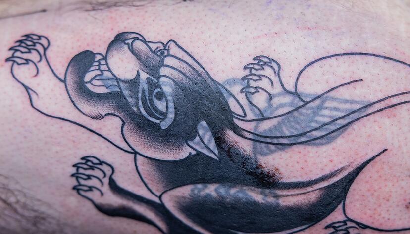 Bei Aussteiger Michael (Name geändert) entsteht über einem Reichsadler ein Panther.