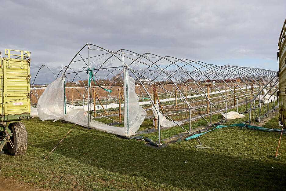 Sturmschaden in Bad Friedrichshall-Kochendorf: Der Wind hat einen Folientunnel am Riedweg zerst&ouml;rt.