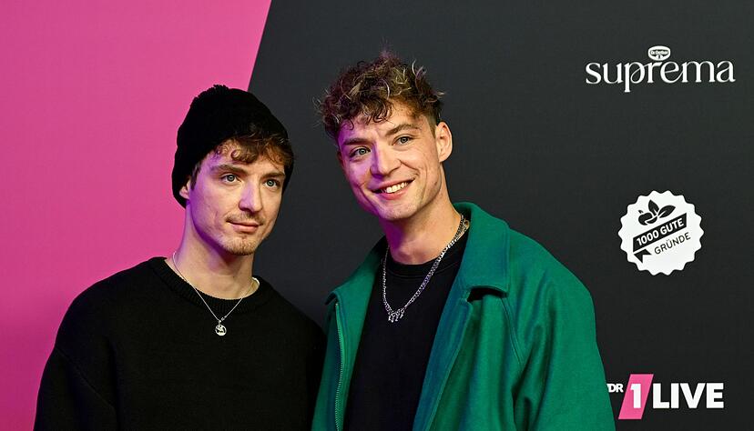 Roman (l) und Heiko (r) Lochmann nennen sich musikalisch mittlerweile HE/RO. (Archivbild) Roman (l) und Heiko (r) Lochmann nennen sich musikalisch mittlerweile HE/RO. (Archivbild)