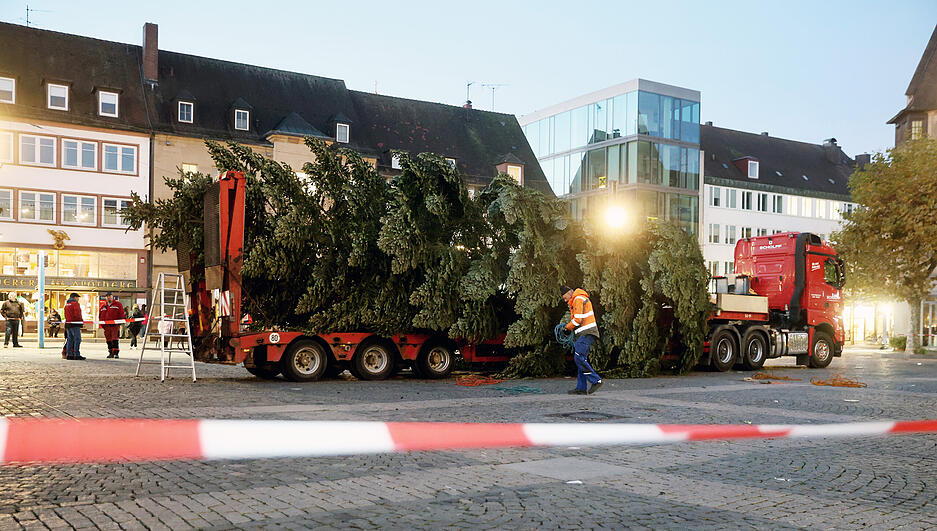 Die Weißtanne, die das Ehepaar Seiz aus Ilsfeld gespendet hat, ist 16 Meter hoch und 47 Jahre alt.