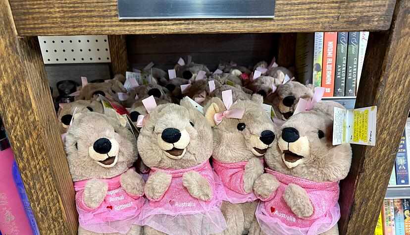 Auf Rottnest Island steht alles im Zeichen der Quokkas - auch die Souvenirs. Auf Rottnest Island steht alles im Zeichen der Quokkas - auch die Souvenirs.