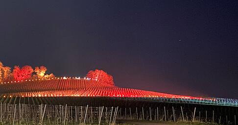Am Donnerstagabend 17 Uhr startet das Rebengl&uuml;hen 2026 am Bretzfelder Lindelberg. Am Mittwochabend gab es ein erstes Probegl&uuml;hen. Den Tag &uuml;ber wird noch kr&auml;ftig gearbeitet zwischen den Rebzeilen.