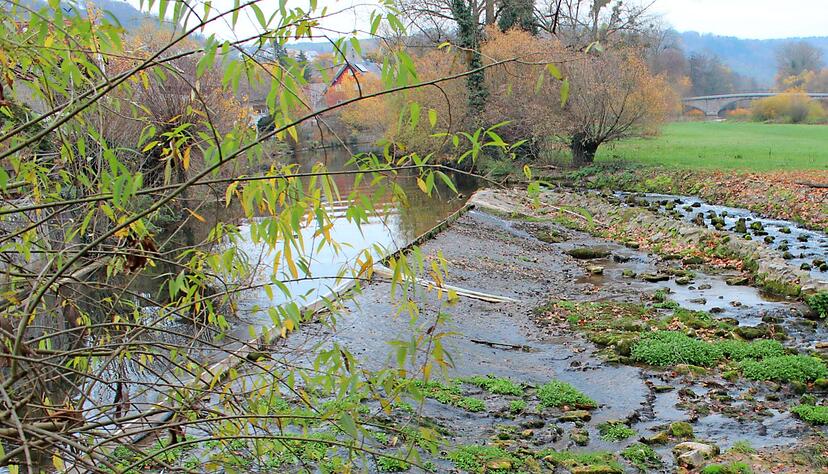 Wenn der Pegelstand von Flüssen wegen anhaltender Trockenheit erheblich sinkt, darf Wasser nur noch in begrenzten Mengen entnommen werden.
Foto: Archiv/Stahl Wenn der Pegelstand von Flüssen wegen anhaltender Trockenheit erheblich sinkt, darf Wasser nur noch in begrenzten Mengen entnommen werden.
Foto: Archiv/Stahl