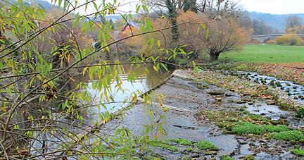 Wenn der Pegelstand von Flüssen wegen anhaltender Trockenheit erheblich sinkt, darf Wasser nur noch in begrenzten Mengen entnommen werden.
Foto: Archiv/Stahl Wenn der Pegelstand von Flüssen wegen anhaltender Trockenheit erheblich sinkt, darf Wasser nur noch in begrenzten Mengen entnommen werden.
Foto: Archiv/Stahl
