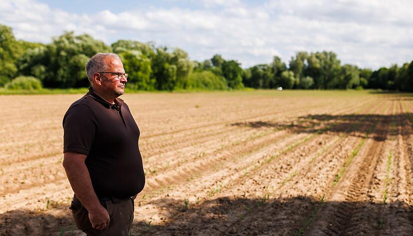 Einige Landwirte setzen Schreckschussapparate ein, um Saatkr&auml;hen zu vertreiben.