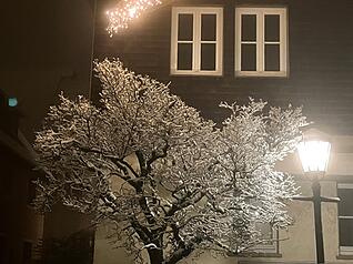 Januar: Schnee bedeckt vor allem die H&ouml;henlagen des Hohenloher Landkreises. Entlang der Waldenburger Hauptstra&szlig;e leuchten nach dem Schneefall sch&ouml;ne Winterlichtspiele.
