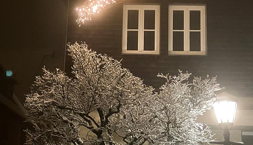 Januar: Schnee bedeckt vor allem die H&ouml;henlagen des Hohenloher Landkreises. Entlang der Waldenburger Hauptstra&szlig;e leuchten nach dem Schneefall sch&ouml;ne Winterlichtspiele.
