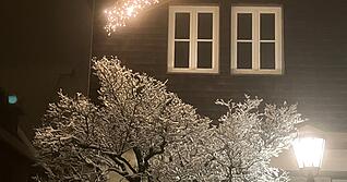 Januar: Schnee bedeckt vor allem die H&ouml;henlagen des Hohenloher Landkreises. Entlang der Waldenburger Hauptstra&szlig;e leuchten nach dem Schneefall sch&ouml;ne Winterlichtspiele.