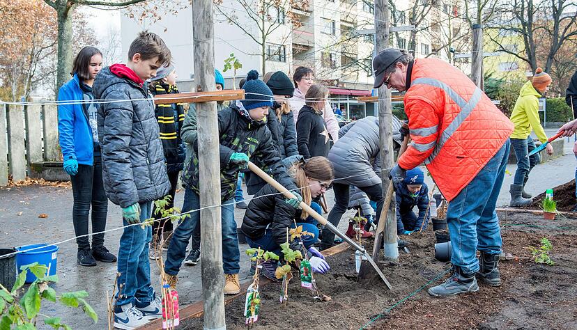Gr&uuml;n statt Beton: Sch&uuml;ler und Bewohner bepflanzen den neuen B&uuml;rgergarten am Kraichgauplatz. Das Projekt ist Teil der Aktion Stadtgr&uuml;n.
Foto: Mario Berger