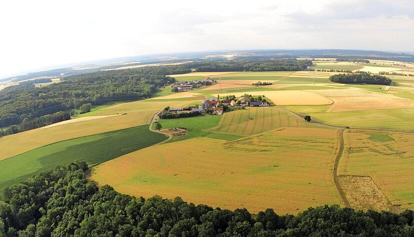 Unweit des Waldrands oberhalb des Speltbachs soll die gr&ouml;&szlig;te PV-Anlage im Hohenlohekreis entstehen: In einer der n&auml;chsten Sitzungen soll der Aufstellungsbeschluss f&uuml;r den Bebauungsplan gefasst werden. 
Foto: G&ouml;tz Greiner