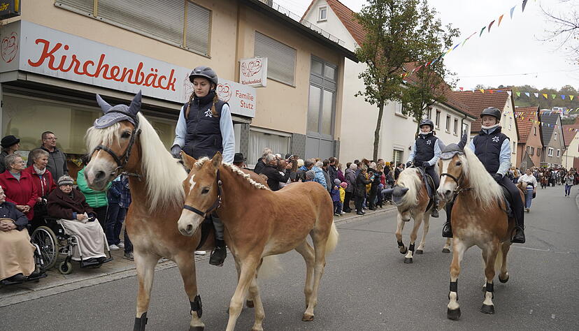 Traditionell am ersten Samstag im November fand wieder der Herbstpferdemarkt in Dörzbach statt.