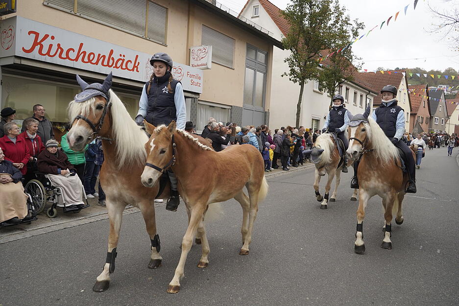 Traditionell am ersten Samstag im November fand wieder der Herbstpferdemarkt in Dörzbach statt.