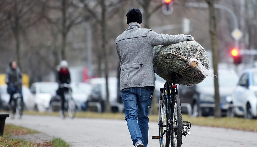 Wer sein Bäumchen liebt, der schiebt - und fällt damit auch nicht so schnell auf die Nase.