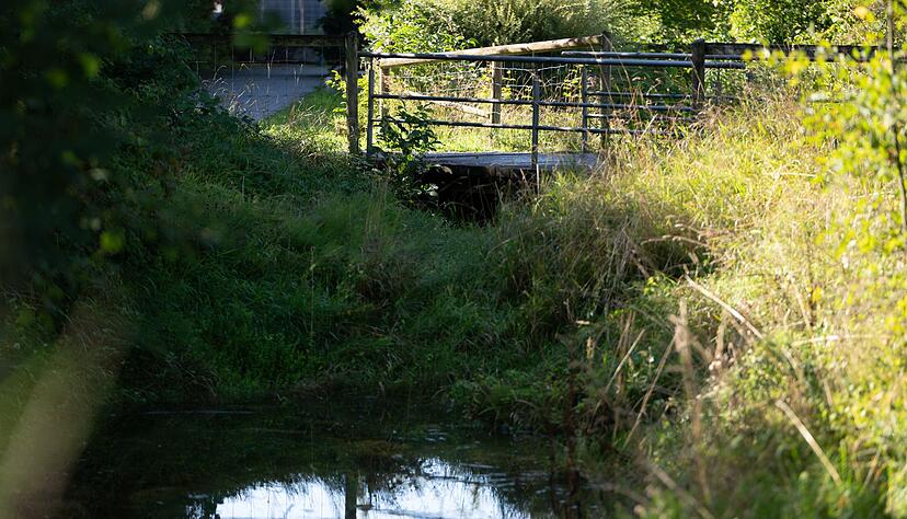 Unter der Br&uuml;cke hatten Anwohner schon fr&uuml;h den Geruch mitbekommen.