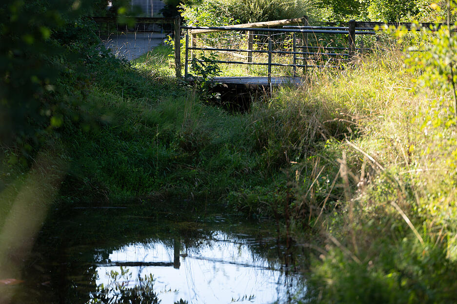 29.08.2025, Baden-Württemberg, Filderstadt: Eine Brücke am Stadtrand von Filderstadt. Nach Augenzeugenberichten soll ein Koffer mit einer Leiche in der Nähe dieser Brücke gefunden worden sein. Foto: Markus Lenhardt/dpa +++ dpa-Bildfunk +++