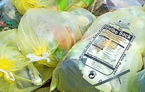 "Für mich hätte es diesen Systemwechsel nicht gebraucht", sagt Neth zur Einführung des Gelben Sacks am 1. Januar. "Für mich hätte es diesen Systemwechsel nicht gebraucht", sagt Neth zur Einführung des Gelben Sacks am 1. Januar.