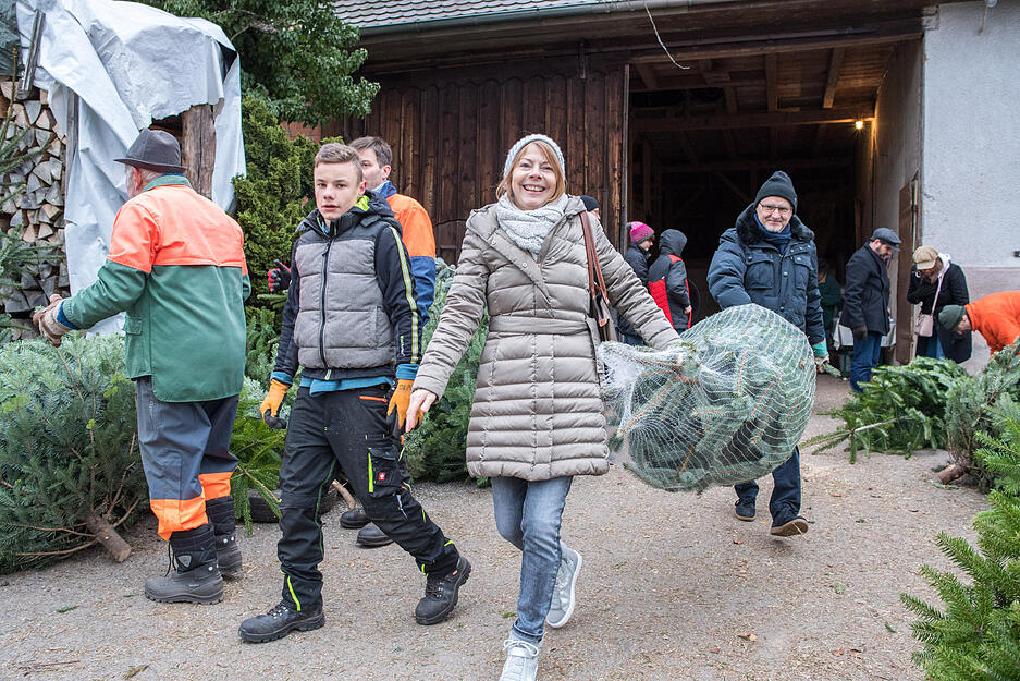 Prevorster Christbaummarkt