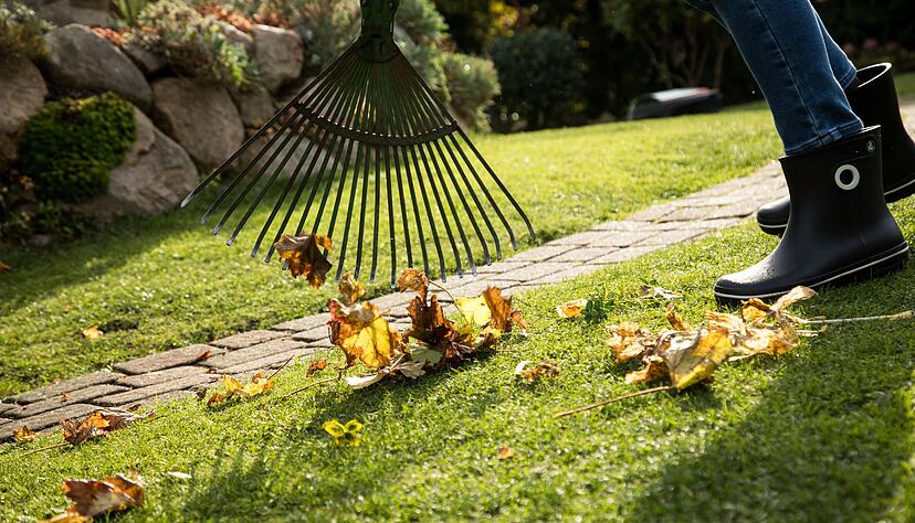 Laub sollte nicht auf der Wiese liegen bleiben - besser man verwendet es als Mulchmaterial.