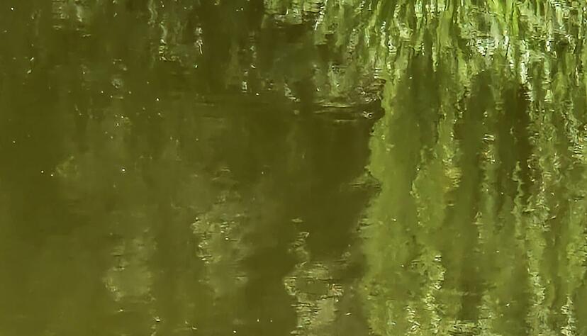 Von weitem wirkte die Attrappe täuschend echt. Von weitem wirkte die Attrappe täuschend echt.