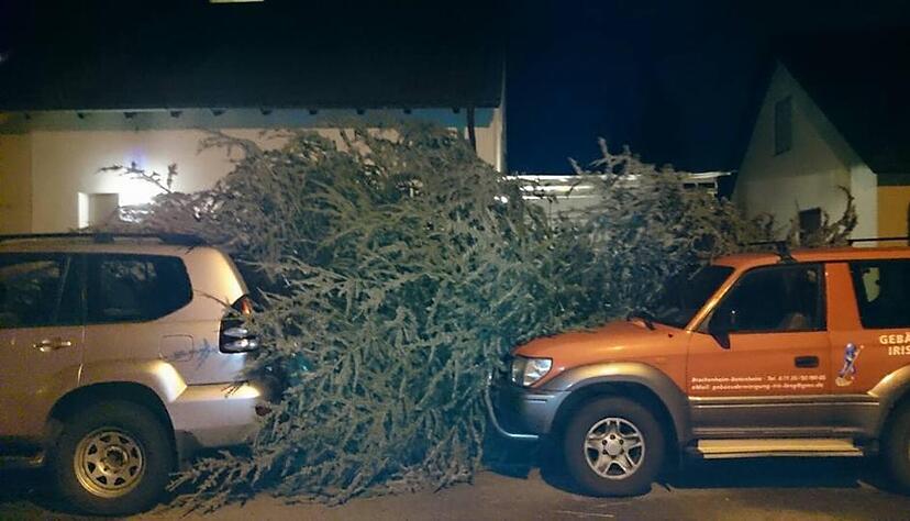 In Brackenheim hat der Wind einen Baum entwurzelt. Verletzt wurde niemand. Foto: Hagen Lang