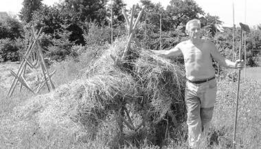 Auf uralten B&ouml;cken trocknet Horst Widmann sein Heu. Der H&uuml;ffenhardter ist sogar getrost in Urlaub gefahren, bevor er seine Ernte eingeholt hat. (Foto: Annette Gast-Prior)