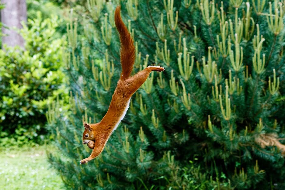 Sie geh&ouml;ren auch zu den Lieblingen der Community auf Meine.stimme.de.